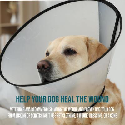 Show full view: Forticept Blue Butter Antimicrobial Gel for Dogs & Cats, 4-oz slide 8 of 10