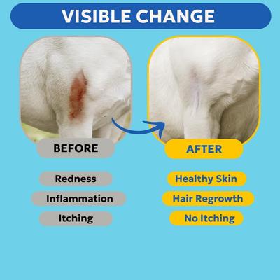 Show full view: Forticept Blue Butter Antimicrobial Gel for Dogs & Cats, 4-oz slide 4 of 10