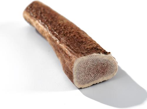Show full view: Buck Bone Organics Whole Elk Antler Dog Chews, 6 - 7 in slide 3 of 7