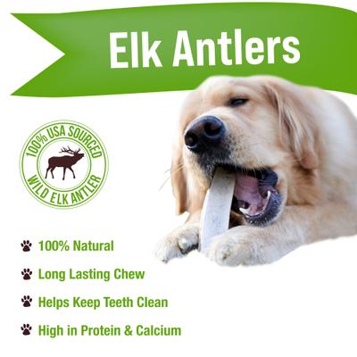 Show full view: Buck Bone Organics Whole Elk Antler Dog Treats, 2 count, Large slide 4 of 8