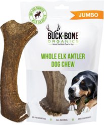 Buck Bone Organics Whole Elk Antler Dog Chews, 8 - 10 in slide 1 of 7