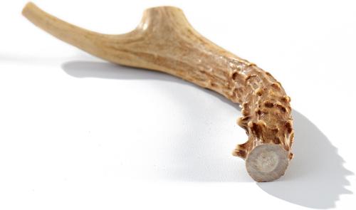 Show full view: Buck Bone Organics Medium Deer Antler Dog Treats slide 3 of 7