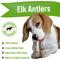 Show in main carousel: Buck Bone Organics Whole Elk Antler Dog Chews, 4.5 - 5 in slide 4 of 7