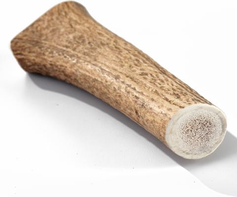 Show full view: Buck Bone Organics Whole Elk Antler Dog Chews, 8 - 10 in slide 3 of 9