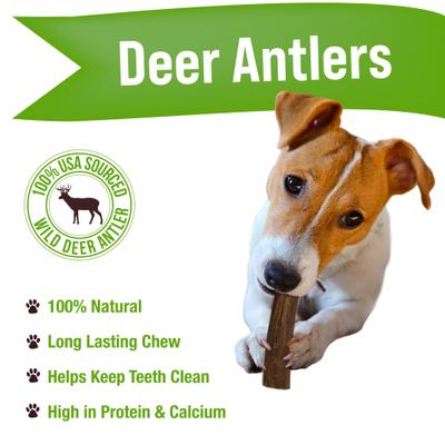Show full view: Buck Bone Organics Medium Deer Antler Dog Treats slide 4 of 7