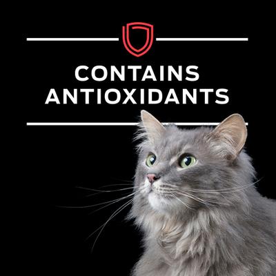 Show full view: Purina Pro Plan Veterinary Diets DM Dietetic Management Wet Cat Food, 5.5-oz, case of 24 slide 9 of 11