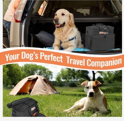 Pawseat Tote Travel Bag with Built‑In Meal Dog & Cat Carrier, Medium, Black slide 2 of 8