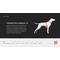 Show in main carousel: Non-stop Dogwear Freemotion 5.0 Dog Harness, Black/Orange, 4: 16.1 to 26.8-in chest slide 5 of 5