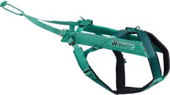 Non-stop Dogwear Freemotion 5.0 Dog Harness, Teal, 7: 24.0 to 36.2-in chest