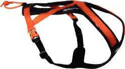 Non-stop Dogwear Rush Dog Harness, Black/Orange, 1: 11.8 to 16.5-in chest