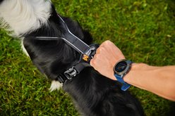 Non-stop Dogwear Line Grip Dog Harness, Black, 3: 15.4 to 24.4-in chest slide 2 of 3