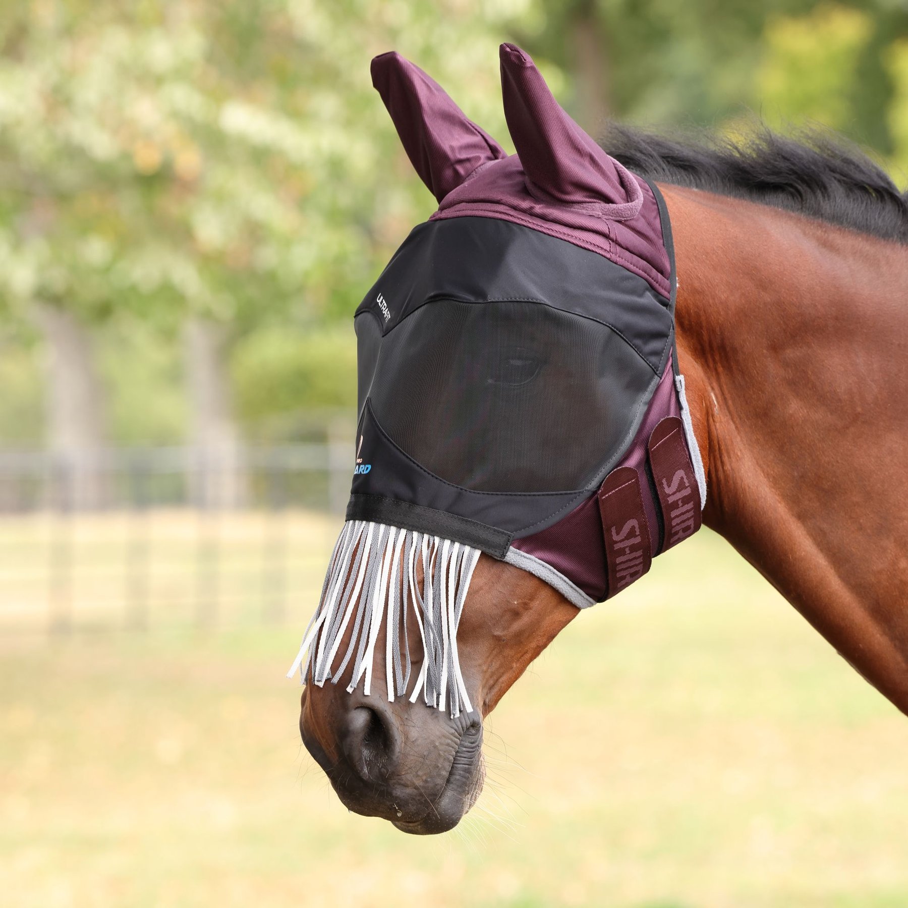 Shires Equestrian Products FlyGuard Pro Deluxe Horse Fly Mask with Ears & Nose Fringe, Black Cherry, Pony