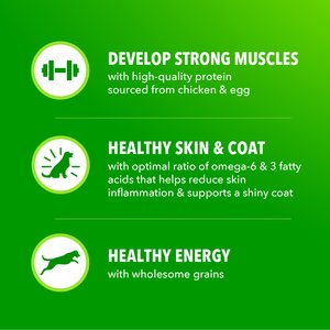 Iams Proactive Health Large Breed Adult with Real Chicken Dry Dog Food, 44-lb bag