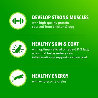 Show full view: Iams Proactive Health Large Breed Adult with Real Chicken Dry Dog Food, 44-lb bag slide 9 of 11