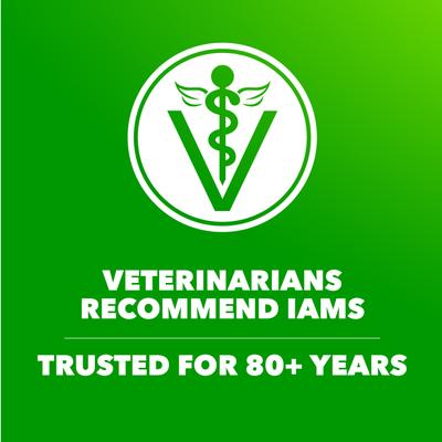 Show full view: Iams Proactive Health Minichunks with Real Chicken & Whole Grains Dry Dog Food, 44-lb bag slide 10 of 11