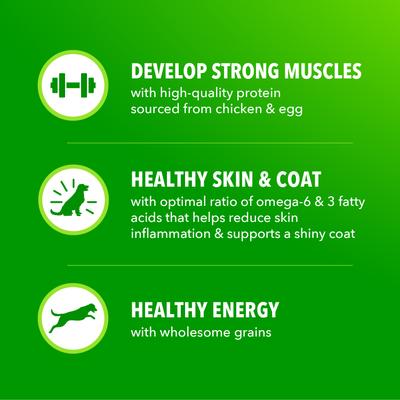 Show full view: Iams Proactive Health Large Breed Adult with Real Chicken Dry Dog Food, 40-lb bag slide 9 of 11