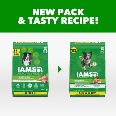 Show full view: Iams Proactive Health Minichunks with Real Chicken & Whole Grains Dry Dog Food, 44-lb bag slide 3 of 11