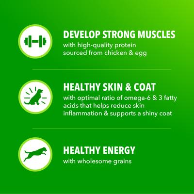 Show full view: Iams Proactive Health Large Breed Adult with Real Chicken Dry Dog Food, 15-lb bag slide 9 of 11