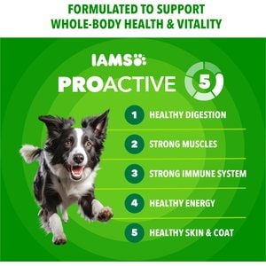 Iams Proactive Health Minichunks with Real Chicken & Whole Grains Dry Dog Food, 3.3-lb bag