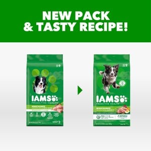 Iams Proactive Health Minichunks with Real Chicken & Whole Grains Dry Dog Food, 3.3-lb bag