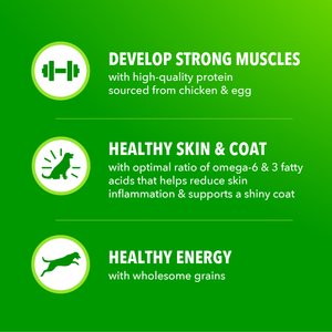 Iams Proactive Health Large Breed Adult with Real Chicken Dry Dog Food, 30-lb bag