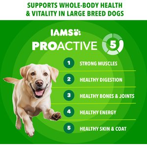 Iams Proactive Health Large Breed Adult with Real Chicken Dry Dog Food, 30-lb bag