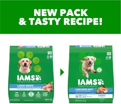 Iams Proactive Health Large Breed Adult with Real Chicken Dry Dog Food, 30-lb bag slide 2 of 9