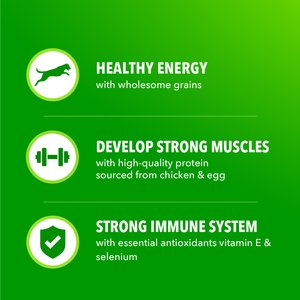 Iams Proactive Health Minichunks with Real Chicken & Whole Grains Dry Dog Food, 30-lb bag