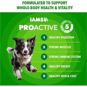 Iams Proactive Health Minichunks with Real Chicken & Whole Grains Dry Dog Food, 30-lb bag