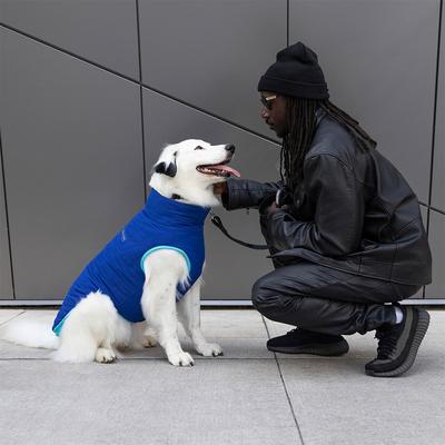 Show full view: Canada Pooch Reversible Solid Insulated Dog Puffer Vest, Blue/Teal, 10-in slide 5 of 5