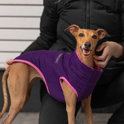 Canada Pooch Reversible Solid Insulated Dog Puffer Vest, Pink/Purple, 26-in slide 2 of 5