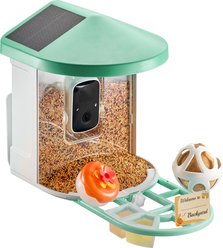 Little Pals Smart 2K Camera & AI Bird Identification Wi-Fi Outdoor Bird Feeder with Night Vision, Solar Power & App Alerts, Light Green, 5.41-lb