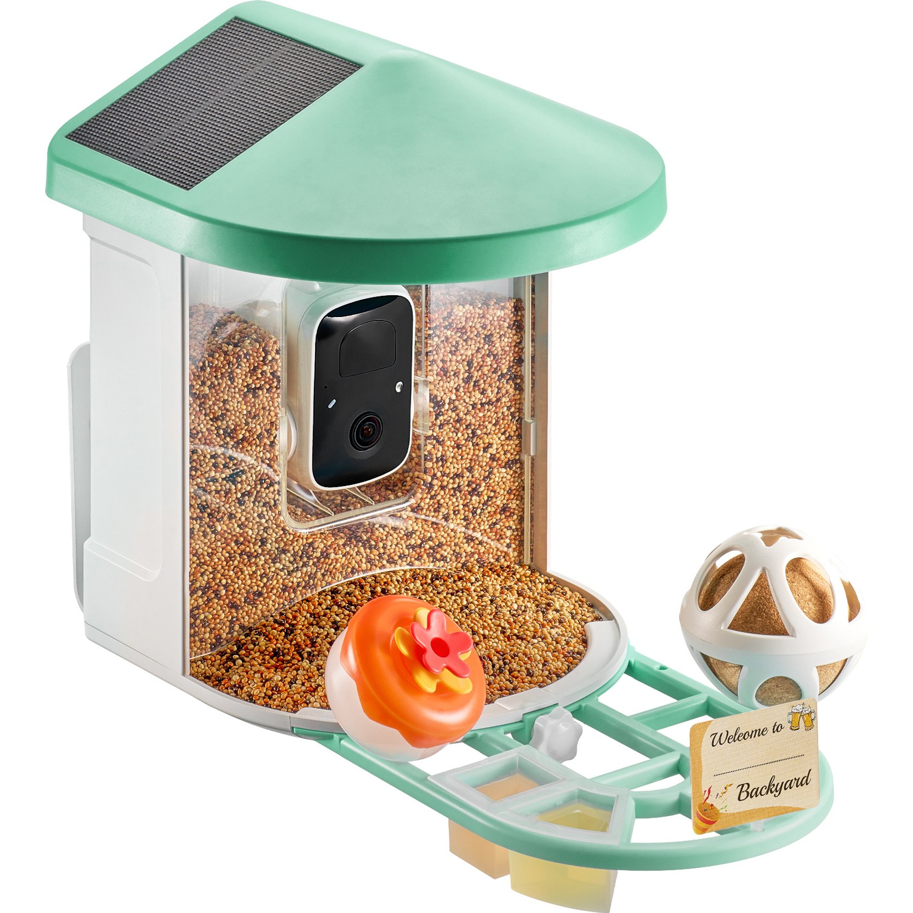Little Pals Smart 2K Camera & AI Bird Identification Wi-Fi Outdoor Bird Feeder with Night Vision, Solar Power & App Alerts, Light Green, 5.41-lb