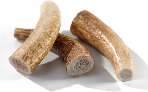 Show full view: Buck Bone Organics Small Whole Elk Antler Dog Treats, 3 count slide 3 of 9