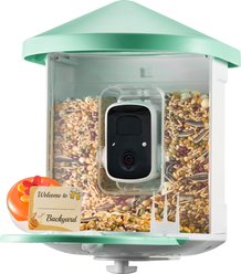 Little Pals Smart 2K Camera & AI Bird Identification Wi-Fi Outdoor Bird Feeder with Night Vision, Solar Power & App Alerts, Light Green, 4.1-lb
