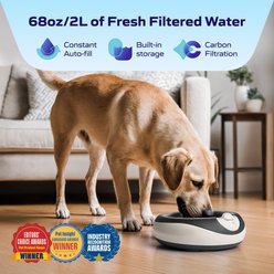Torus Pet Filtered Dog & Cat Water Bowl, Charcoal, 68-oz slide 2 of 9
