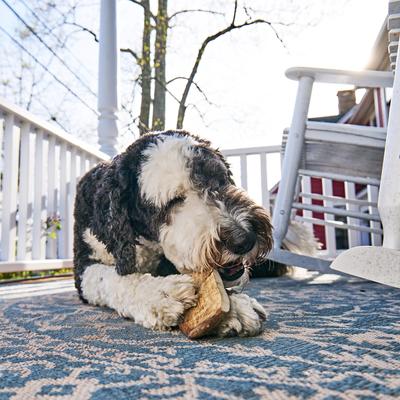 Show full view: Buck Bone Organics Moose Antler Dog Treats, Medium slide 8 of 10