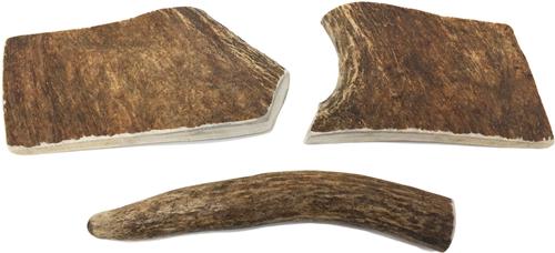 Show full view: Buck Bone Organics Moose Antler Dog Treats, Medium slide 5 of 10