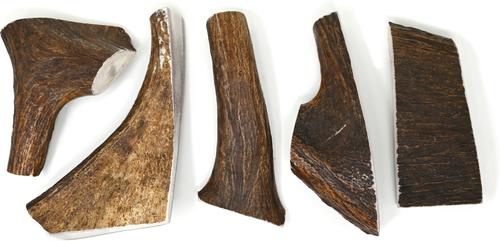 Show full view: Buck Bone Organics Moose Antler Dog Treats, Large slide 5 of 10