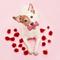 Show in main carousel: Playology Red Velvet Cake Scented Dual Layer Bone Dog Toy, Small, 2 count slide 3 of 6