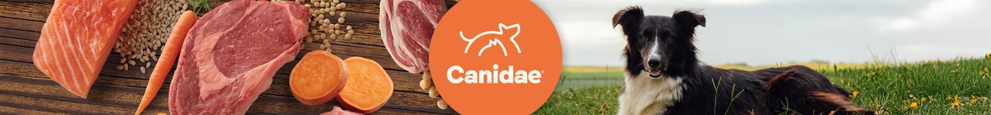 Canidae