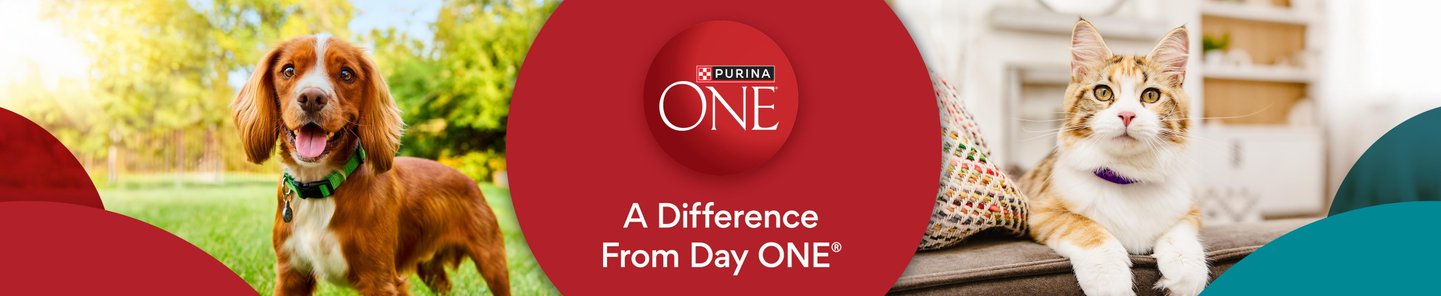 Purina One A Difference From Day ONE