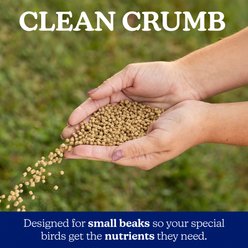 Nutrena 22% Protein Silkie & Ornamental Layer Clean Crumb Chicken Feed, 30-lb bag slide 2 of 9