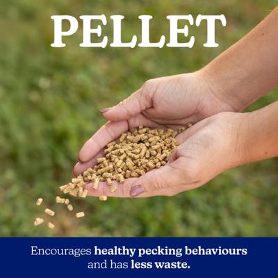 Show full view: Nutrena NatureWise Feather Fixer 20% Protein Pellet Chicken Feed, 40-lb bag slide 5 of 11