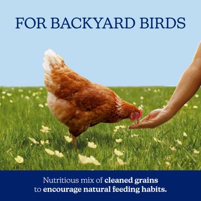 Show full view: Nutrena NatureWise Chicken 7.5% Protein Scratch Grains, 7-lb bag slide 3 of 11