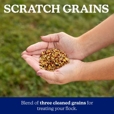 Show full view: Nutrena NatureWise Chicken 7.5% Protein Scratch Grains, 7-lb bag slide 5 of 11