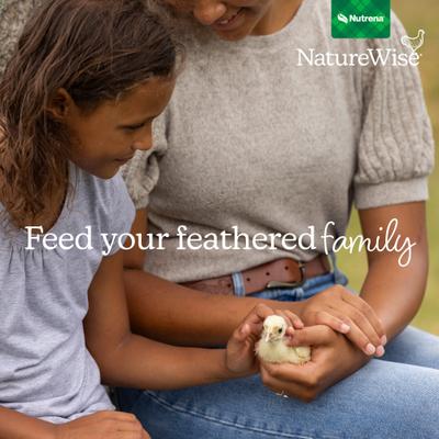 Show full view: Nutrena NatureWise Chick Starter Grower Medicated 18% Protein Crumbles Poultry Feed, 40-lb bag slide 9 of 10