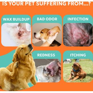 Forticept Anti-Itch Ear Infection Treatment Drops for Dogs & Cats, 2-fl oz bottle