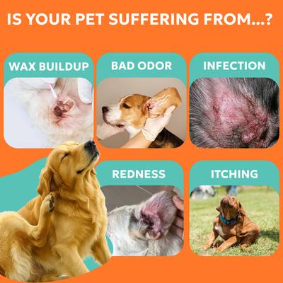 Show full view: Forticept Anti-Itch Ear Infection Treatment Drops for Dogs & Cats, 2-fl oz bottle slide 3 of 11