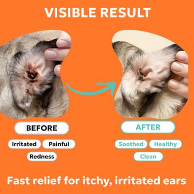 Show full view: Forticept Anti-Itch Ear Infection Treatment Drops for Dogs & Cats, 2-fl oz bottle slide 5 of 11